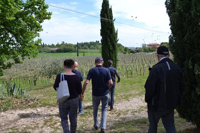 Winery Tour and Tasting of Garda Wines in Lazise - Wine Sales