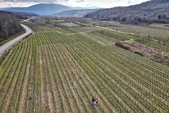 Winery Tour and Tasting With the Sommelier in KRK - Tour Overview