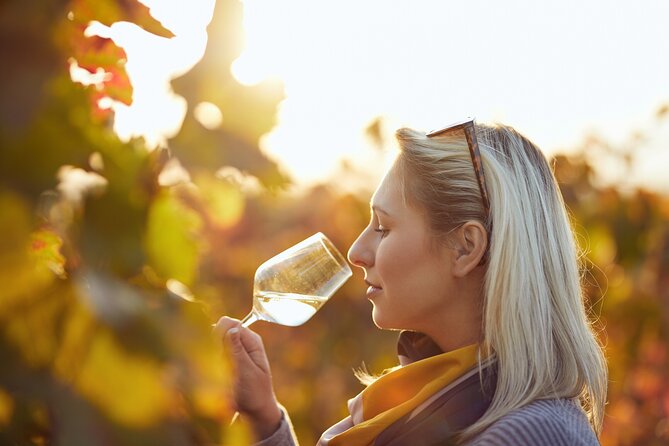 Winery Tour and Tasting With the Sommelier in KRK - Additional Information