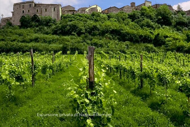 Winery Tour and Tasting With Transport From Sorrento (Feb ) - Tour Highlights