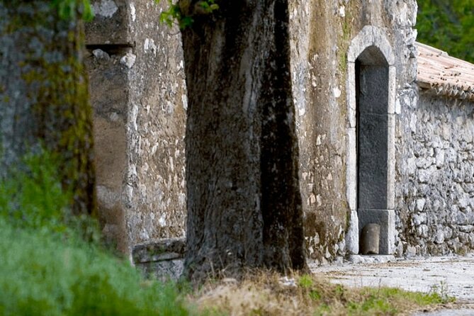 Winery Tour and Tasting With Transport From Sorrento (Feb ) - Transportation Details