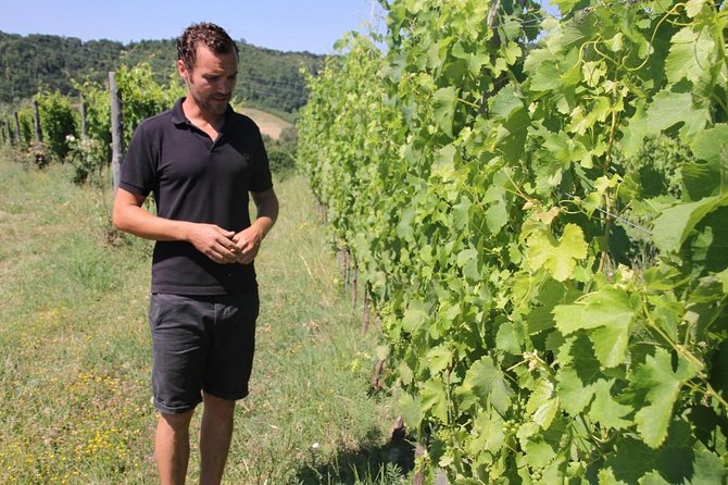 Winery Tour and Wine, Cheese & Charcuterie Tasting - Overview of the Winery Tour and Tasting