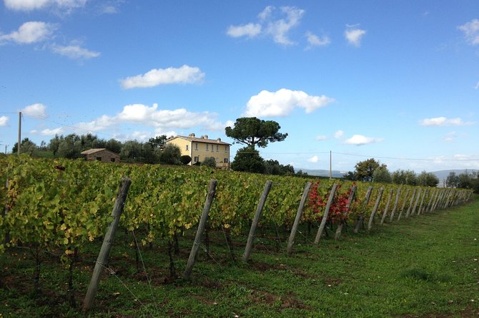 Winery Tour and Wine & Cheese Tasting - Overview and Experience of Orvietos Wines