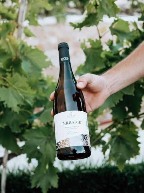 Winery tour and wine tasting - Exploring the Winery Tour in Apulia