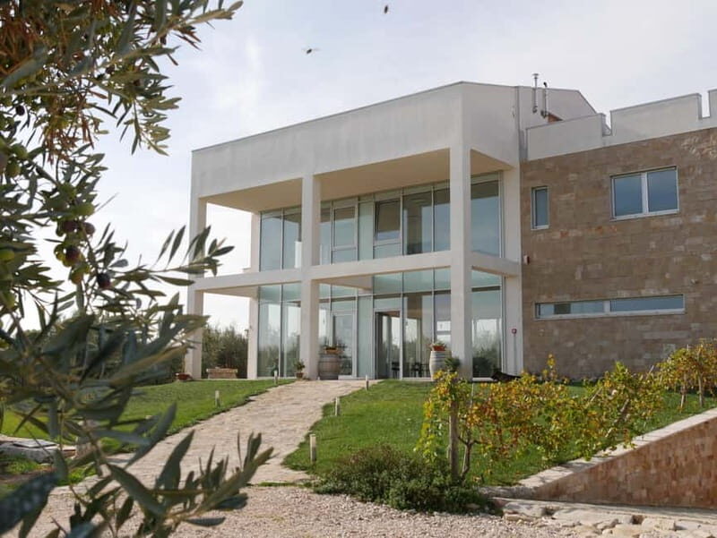 Winery tour and wine tasting - FAQ