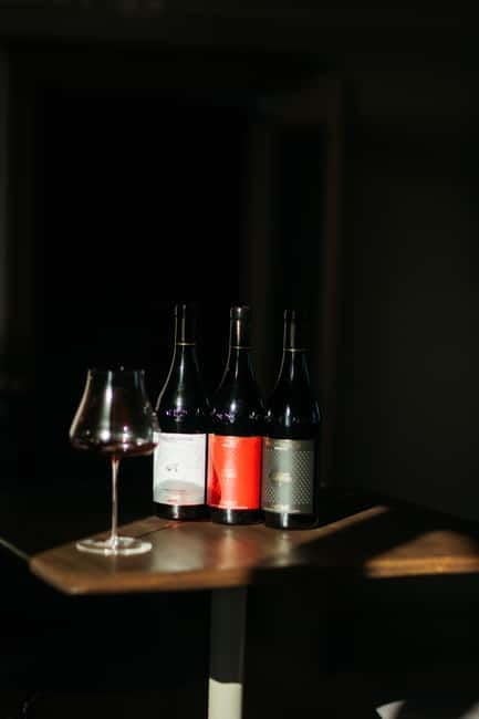 Winery tour and wine tasting with lunch or dinner - What Travelers Are Saying