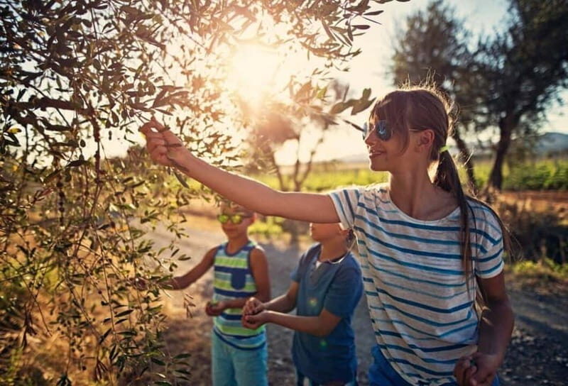 Winery tour in Marsala with wine tasting and local products - Final Thoughts