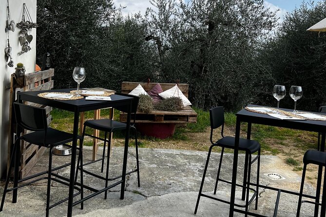 Winery Tour & Tasting in Pisa Countryside - Booking and Pricing