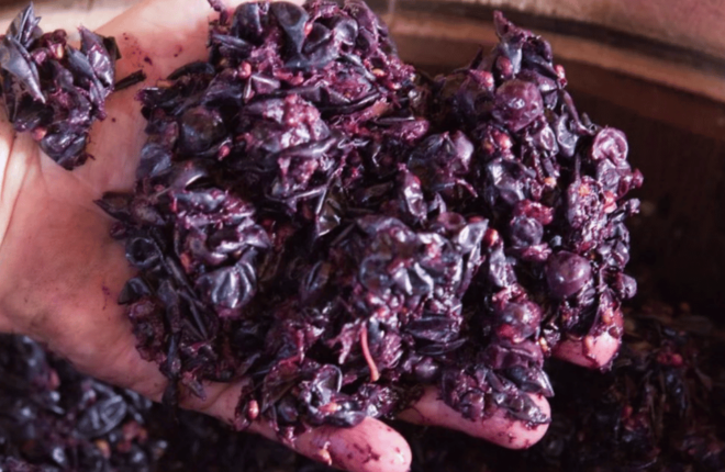 Winery Tour & Tasting on Padova Hills - Winemaking Tradition