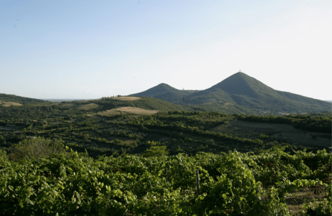 Winery Tour & Tasting on Padova Hills - Booking Information