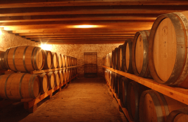 Winery Tour & Tasting on Padova Hills - Reserve Now and Pay Later