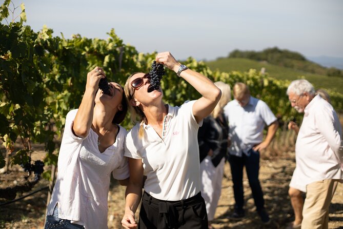 Winery Tour & Wine Tasting in Montalcino - Approximate Duration