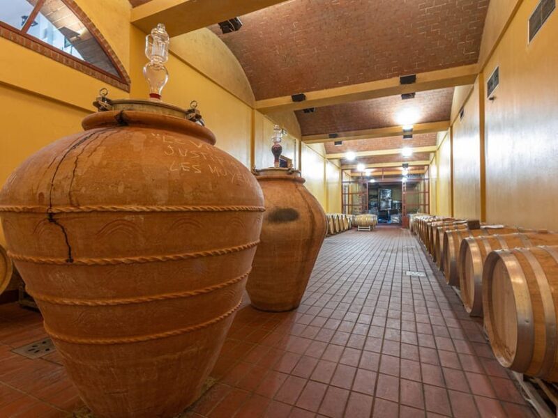 Winery Tour & Wine Tasting with Food near Livorno & Pisa - A Look at the Winery Tour & Wine Tasting Near Livorno & Pisa