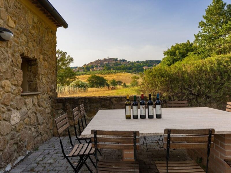 Winery Tour & Wine Tasting with Food near Livorno & Pisa - Who Will Love This Tour?