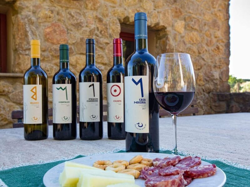Winery Tour & Wine Tasting with Food near Livorno & Pisa - Frequently Asked Questions