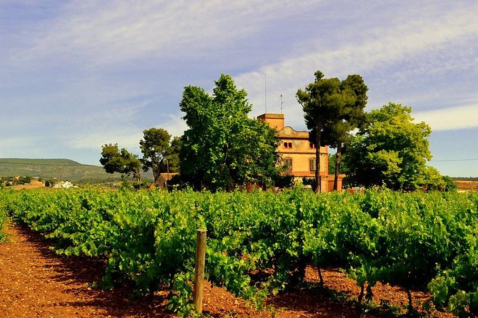 Winery Tour With Private Luxury Vehicle From Barcelona With Hotel Pick up - Tour Details