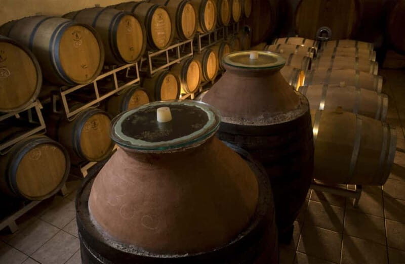 Winery Tour with Wine & Food Tasting near Riccione & Rimini - What Reviewers Love Most