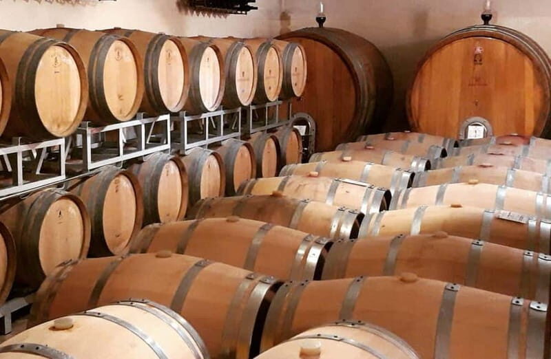 Winery Tour with Wine & Food Tasting near Riccione & Rimini - Who Will Love This Tour?