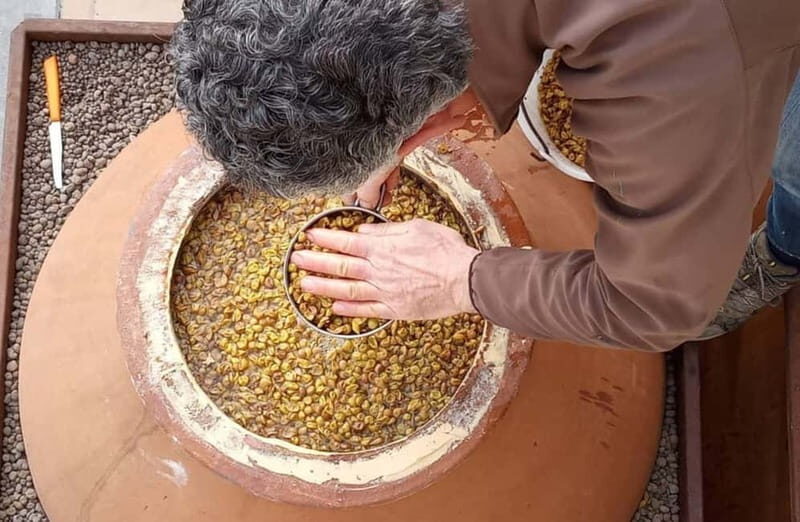 Winery Tour with Wine & Food Tasting near Riccione & Rimini - FAQ