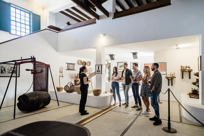 Winery Visit and Tasting in Lanzarote - Guided Vineyard Tour