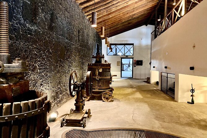 Winery Visit and Tasting in Lanzarote - Explore the On-Site Wine Museum
