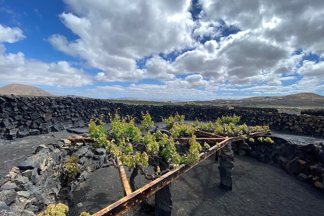 Winery Visit and Tasting in Lanzarote - Visit the Oldest Winery in the Canary Islands