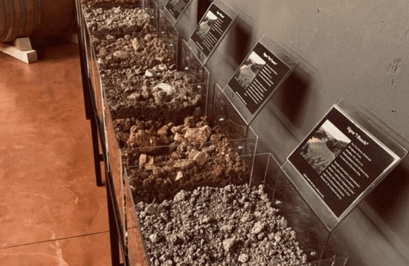 Winery Visit on Parma Hills & Wine Tasting with Food Platter - What Reviewers Say