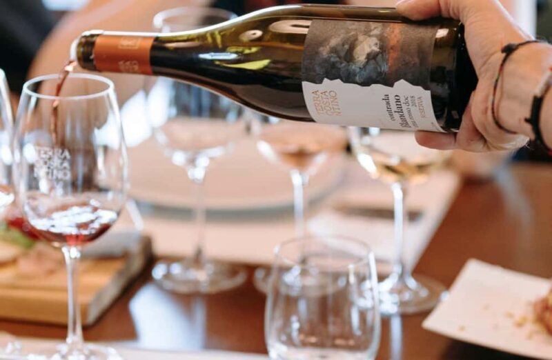 Winery Visit & Tasting on the Volcanic Slopes near Catania - Who Will Love This Experience?