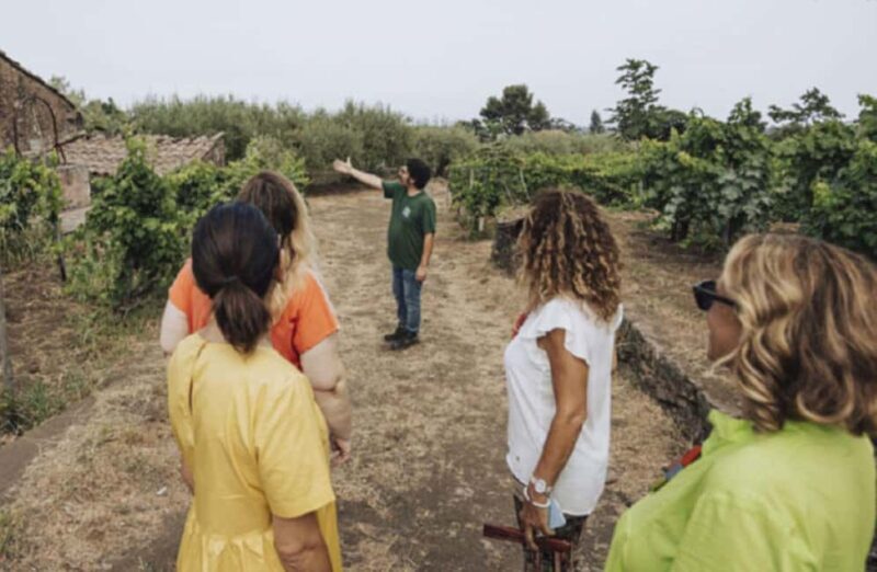 Winery Visit & Tasting on the Volcanic Slopes near Catania - FAQs