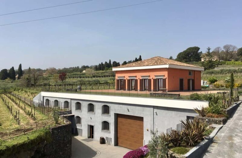 Winery Visit & Tasting on the Volcanic Slopes near Catania - Final Thoughts