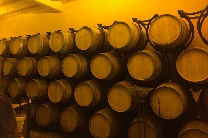 Winery Visit With Food and Wine in Carcassonne - Common Questions