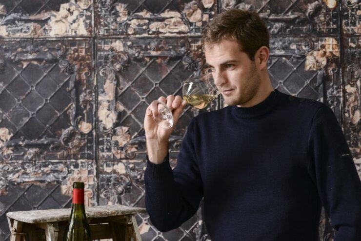 Wines and Cheeses Tasting Experience at Home - Choosing the Right Wines