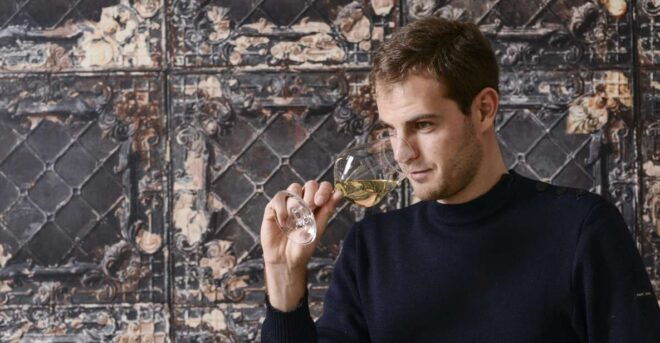 Wines and Cheeses Tasting Experience at Home - Selecting the Perfect Cheeses