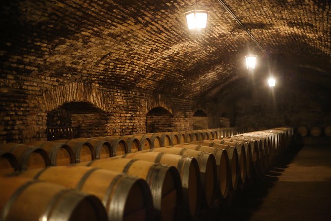 Wines and Paisajes: Unique Experience in Concha and Toro - Overview of Concha and Toro Experience