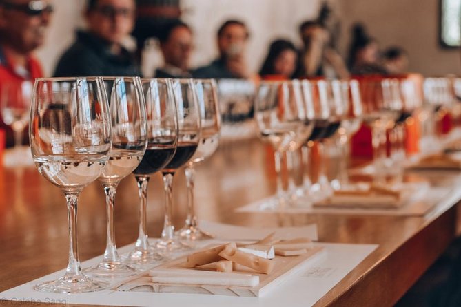 Wines and Paisajes: Unique Experience in Concha and Toro - Wine Tasting and Pairing Activities