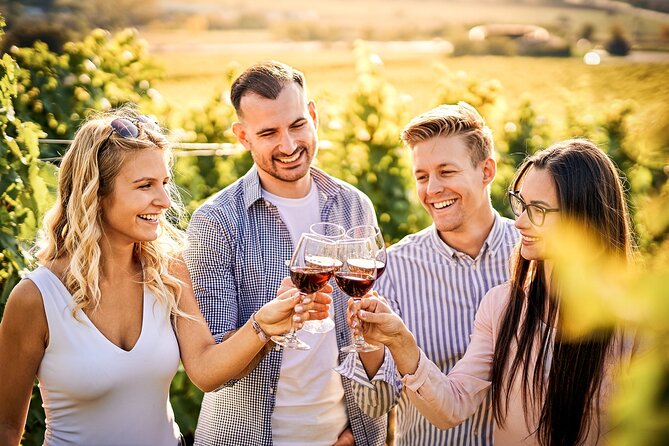 Wines and Views Private Wine Tour of Otago From Queenstown - Expert Tour Guides