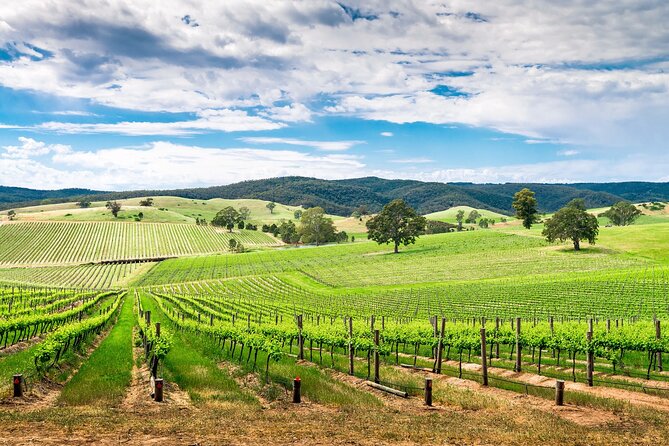 Wines and Whispers:Barossa Valley Private Wine Tour From Adelaide - Expert Guide and Transportation