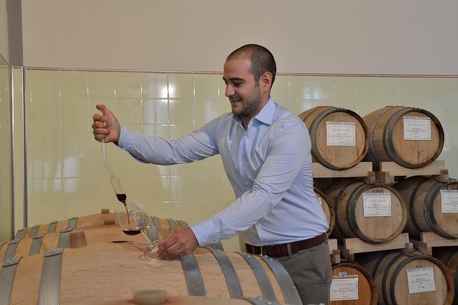 Wines, Cheeses & Bruschettas Tasting in Chianti (Tour at the Winery Included) - Logistics and Details