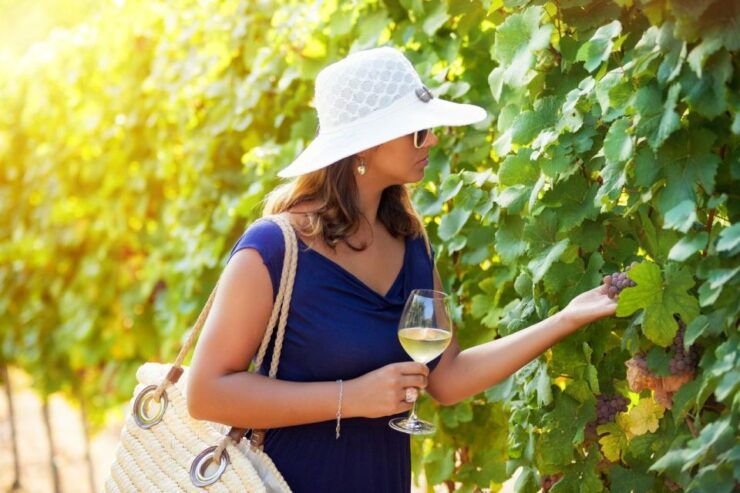 Wines, Olives, and History: a Private Wine Tour From Chania - Experience