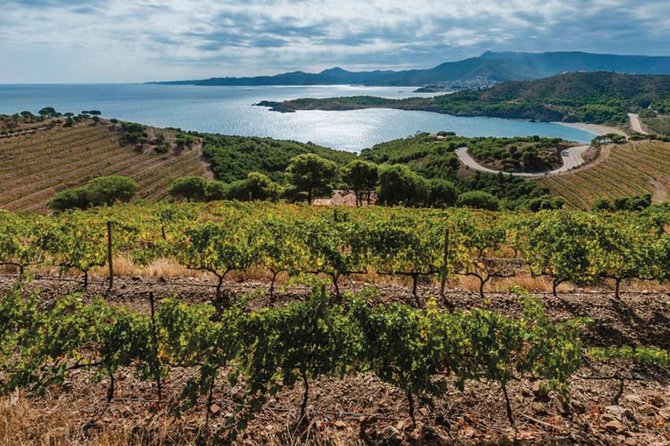 Wines Tasting and Typical Breakfast Small Group Tour From Girona - Reservation and Cancellation Policy