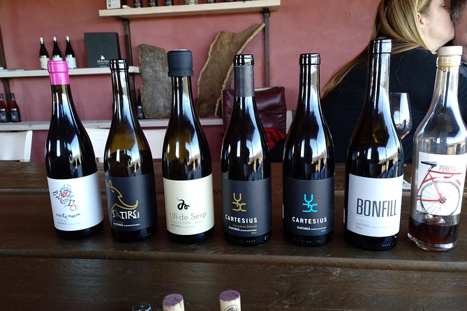 Wines Tasting and Typical Breakfast Small Group Tour From Girona - Reviews and Testimonials