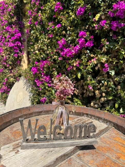 Wines & Wonders: Gaudís Hidden Gems - Who Is This Tour Best For?