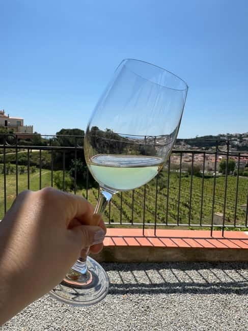 Wines & Wonders: Gaudís Hidden Gems - Final Thoughts