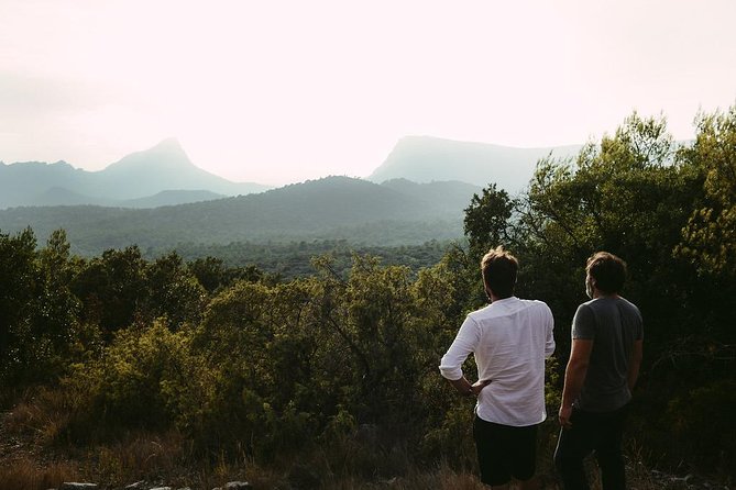 Winetasting and Hike to the Top of "Pic Saint Loup" - Additional Information for Travelers