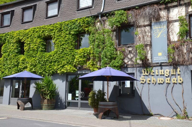 Winetasting / Weinprobe Koblenz - Exploring the Details: What to Expect from the Koblenz Wine Tasting