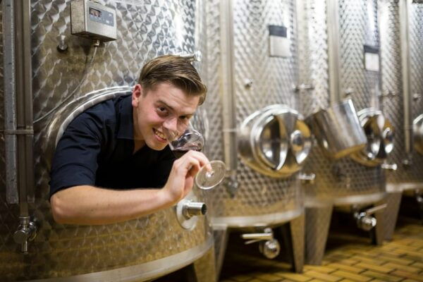 Winetasting With Tour Through the Winery - The Sum Up