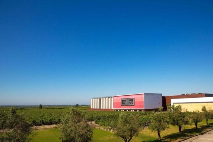 WineTour - Order of Santiago - Palmela - Experience Highlights
