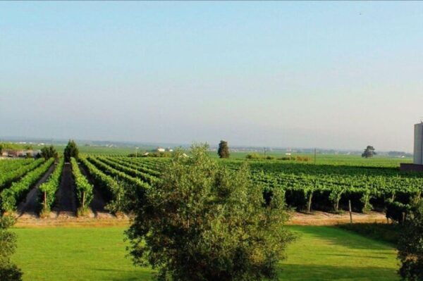 WineTour - Order of Santiago - Palmela - Booking Information