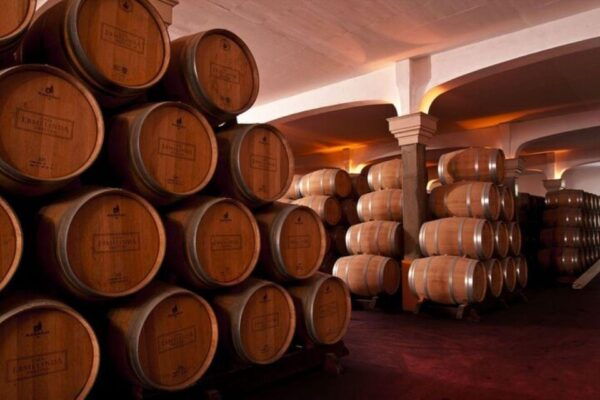 WineTour - Order of Santiago - Palmela - Accessibility and Logistics