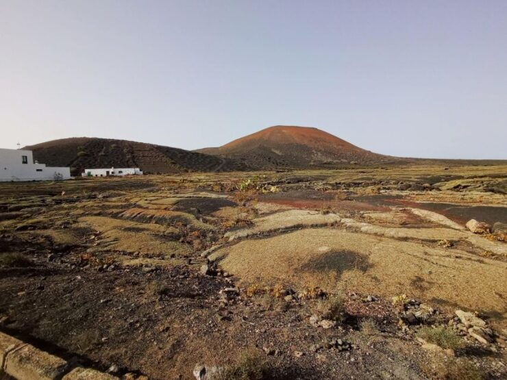 Winetourism in Lanzarote: the First Vineyards in Masdache - Historical Background of Masdache Vineyards